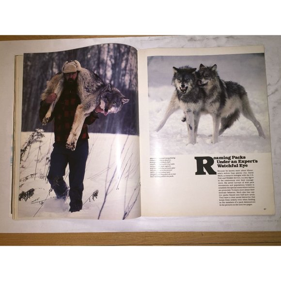 Vintage March 1979 LIFE Magazine- Lesley Anne Down - Picture 9 of 16